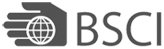 BSCI Certified